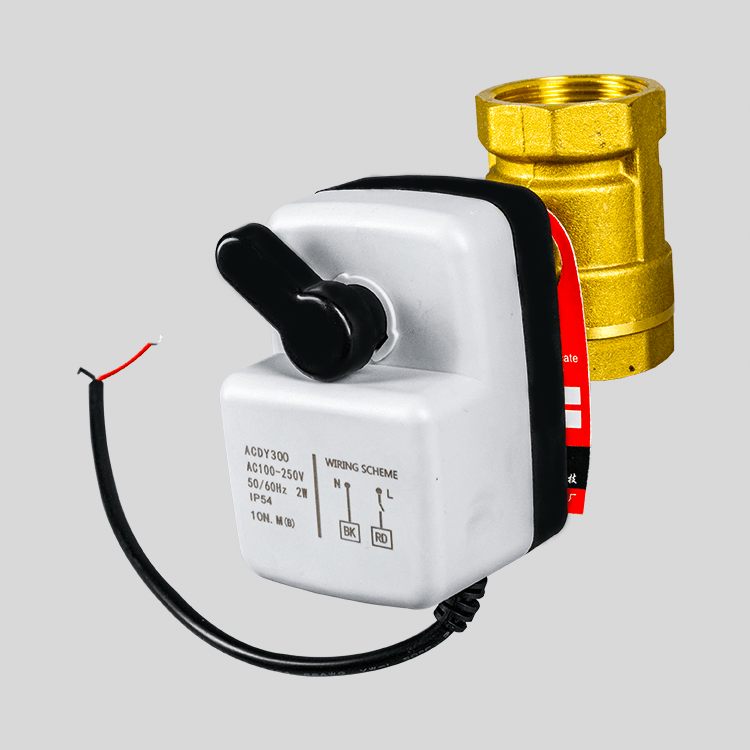 Dy-303 便攜式手自一體電動(dòng)球閥 220V
